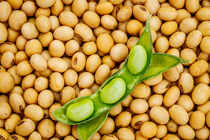 The Power of Choice: Why You Should Choose Non-GMO Soy Products